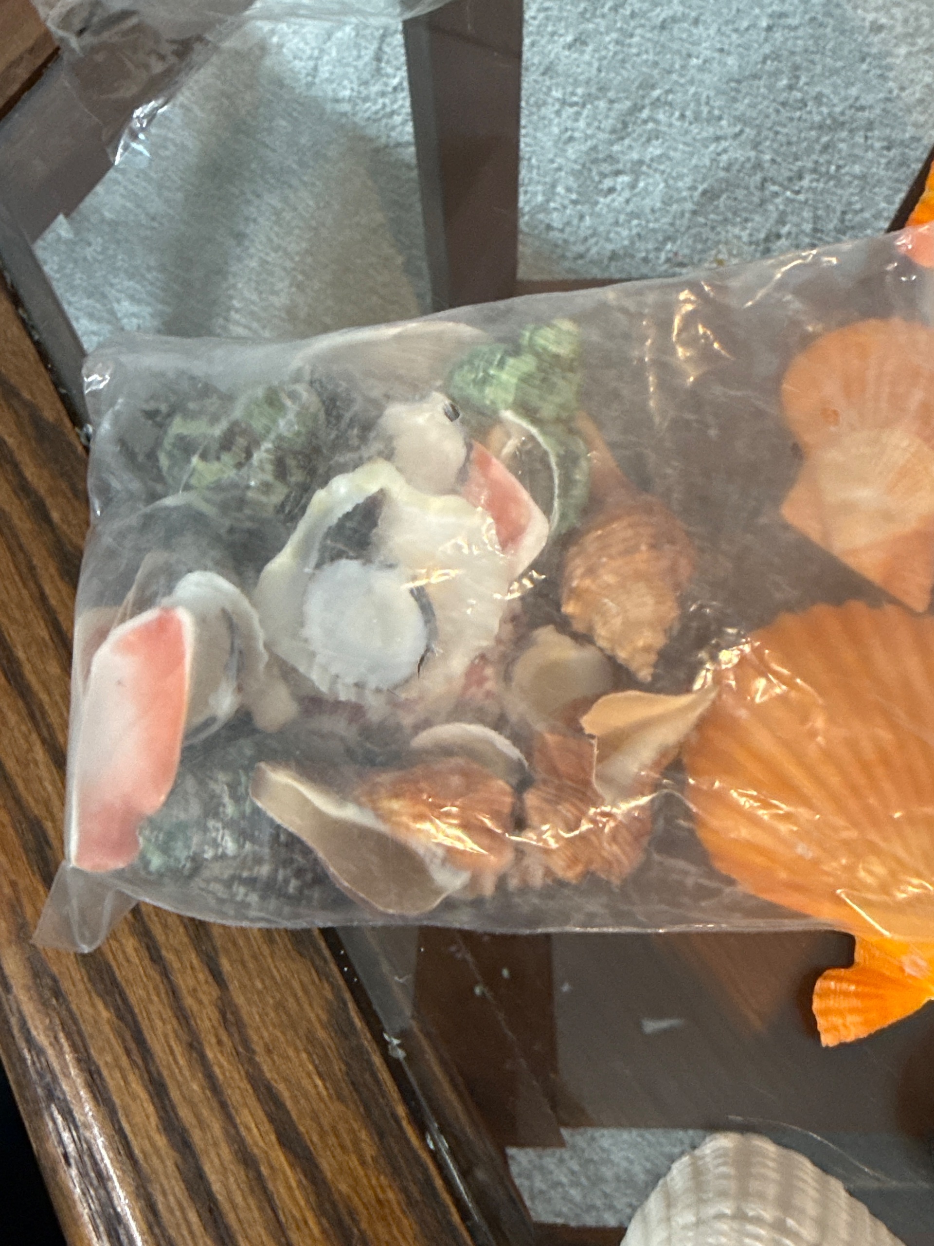 Seashell variety - thumbnail 3 of 3