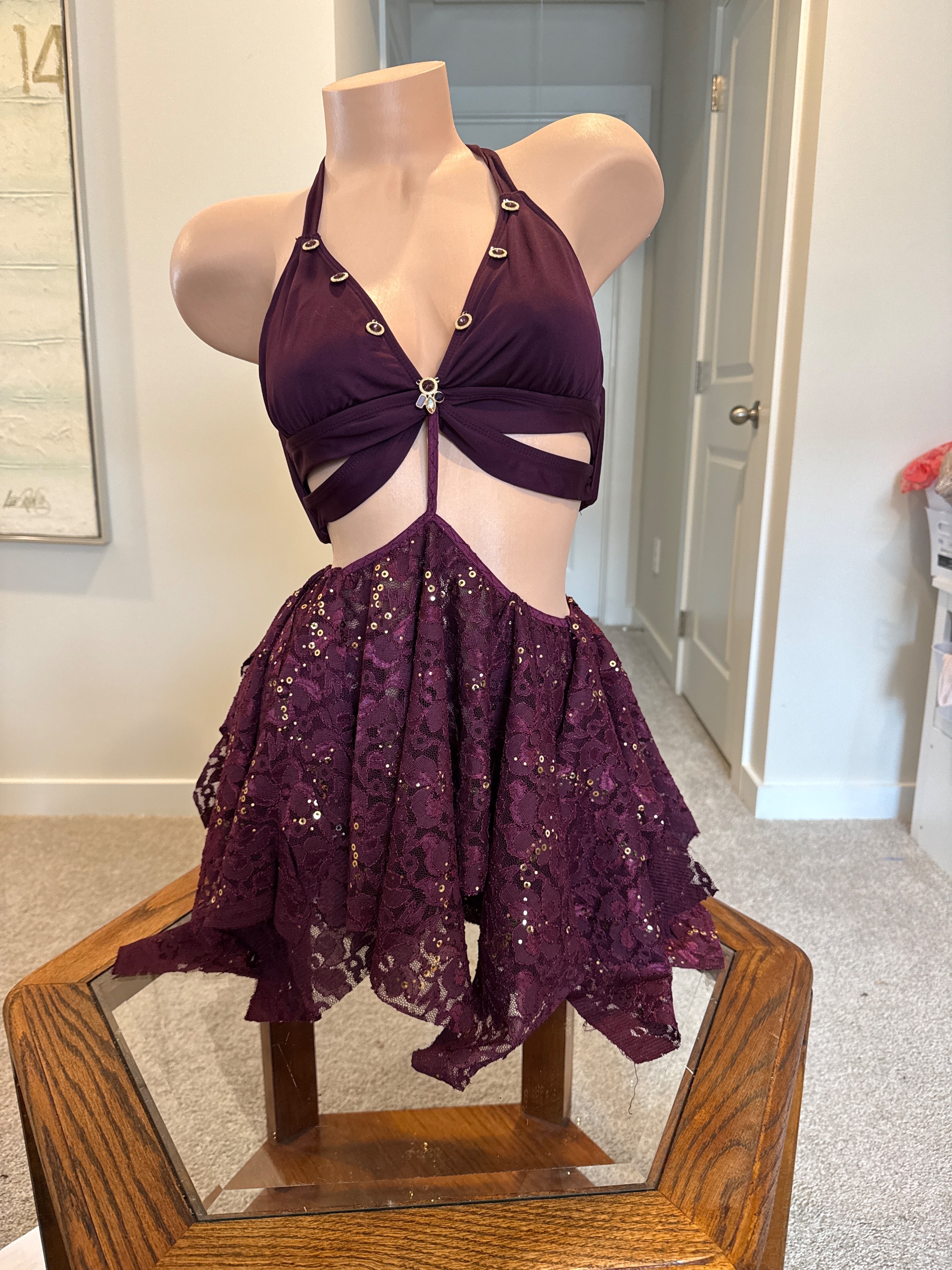 Plum Eclipse Fairy Dress ✨