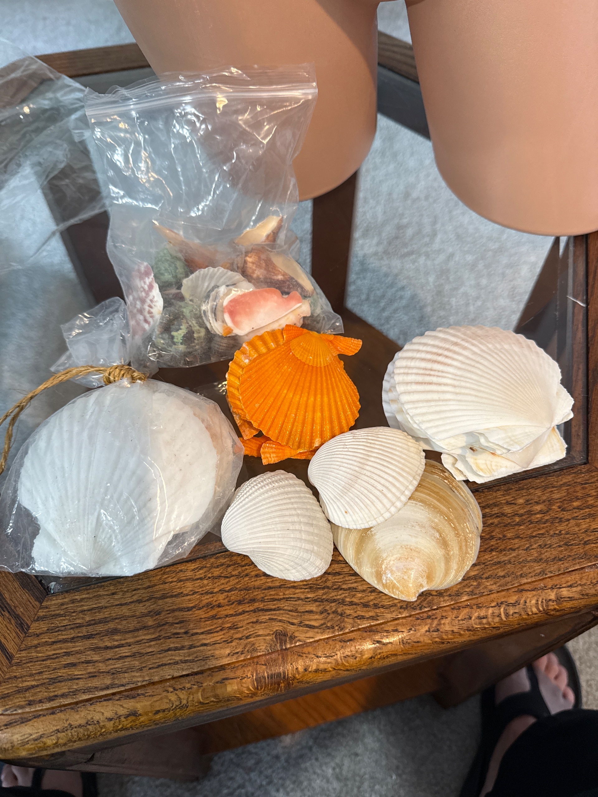 Seashell variety