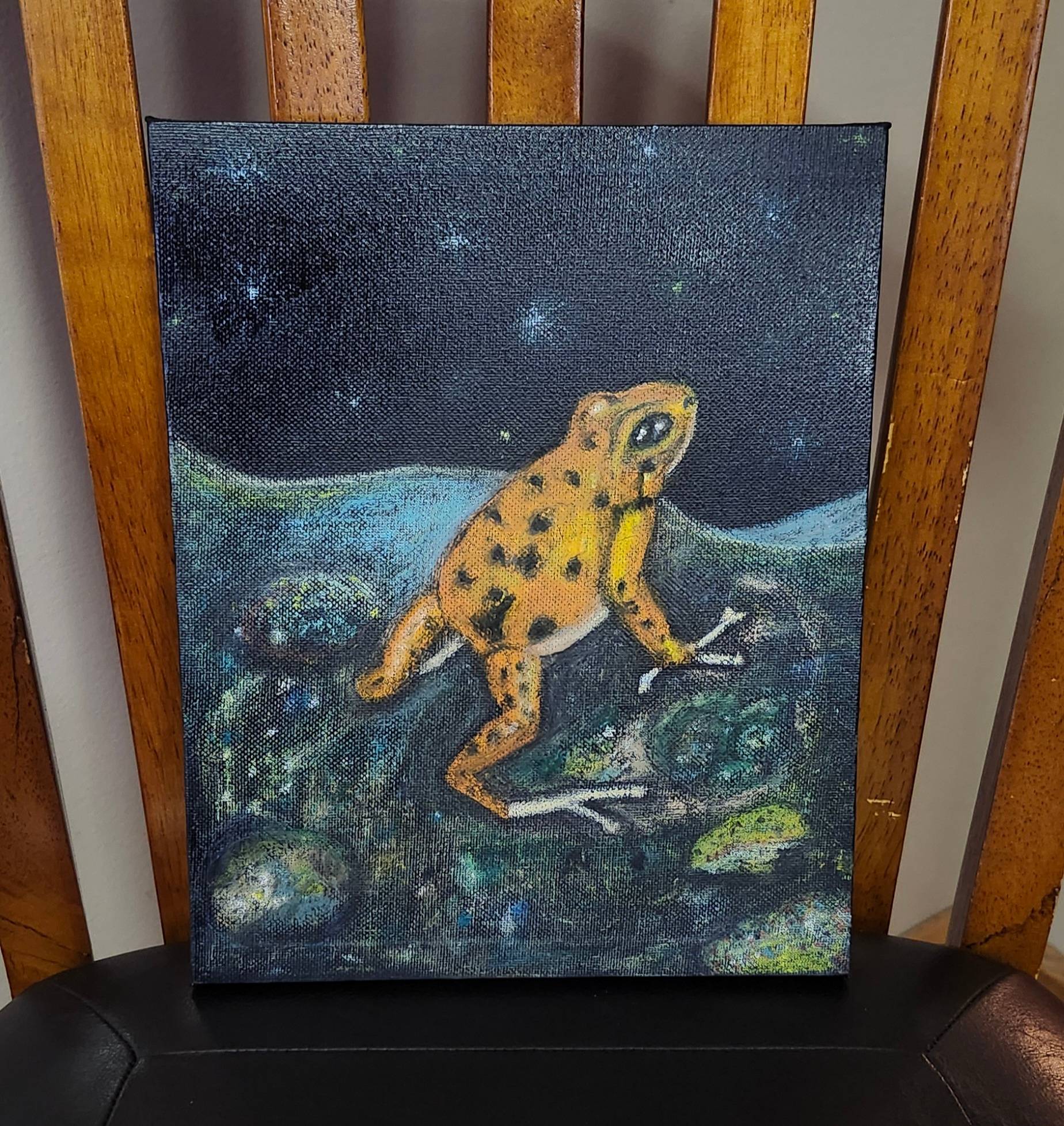 "Starry-Eyed Frog" Original Oil Pastel Work on Black Canvas - photo 1 of 2